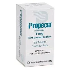 download-57.webp